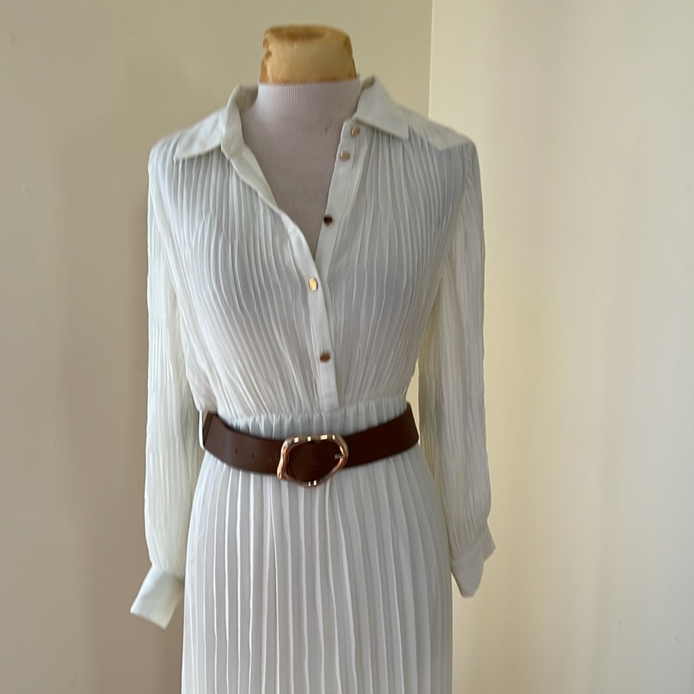 New! Zara medium every pleated midi dress with belt. - Picture 4 of 14